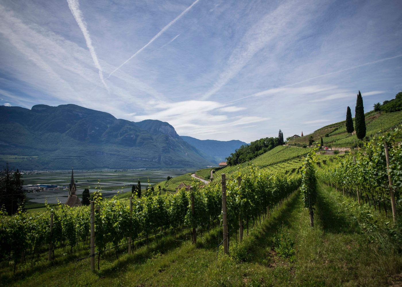 pexels-alex-1731834 (2)